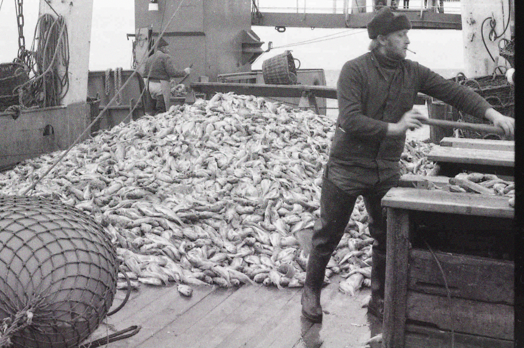 Großer Fischhaufen an Deck. Menschen am Arbeiten.