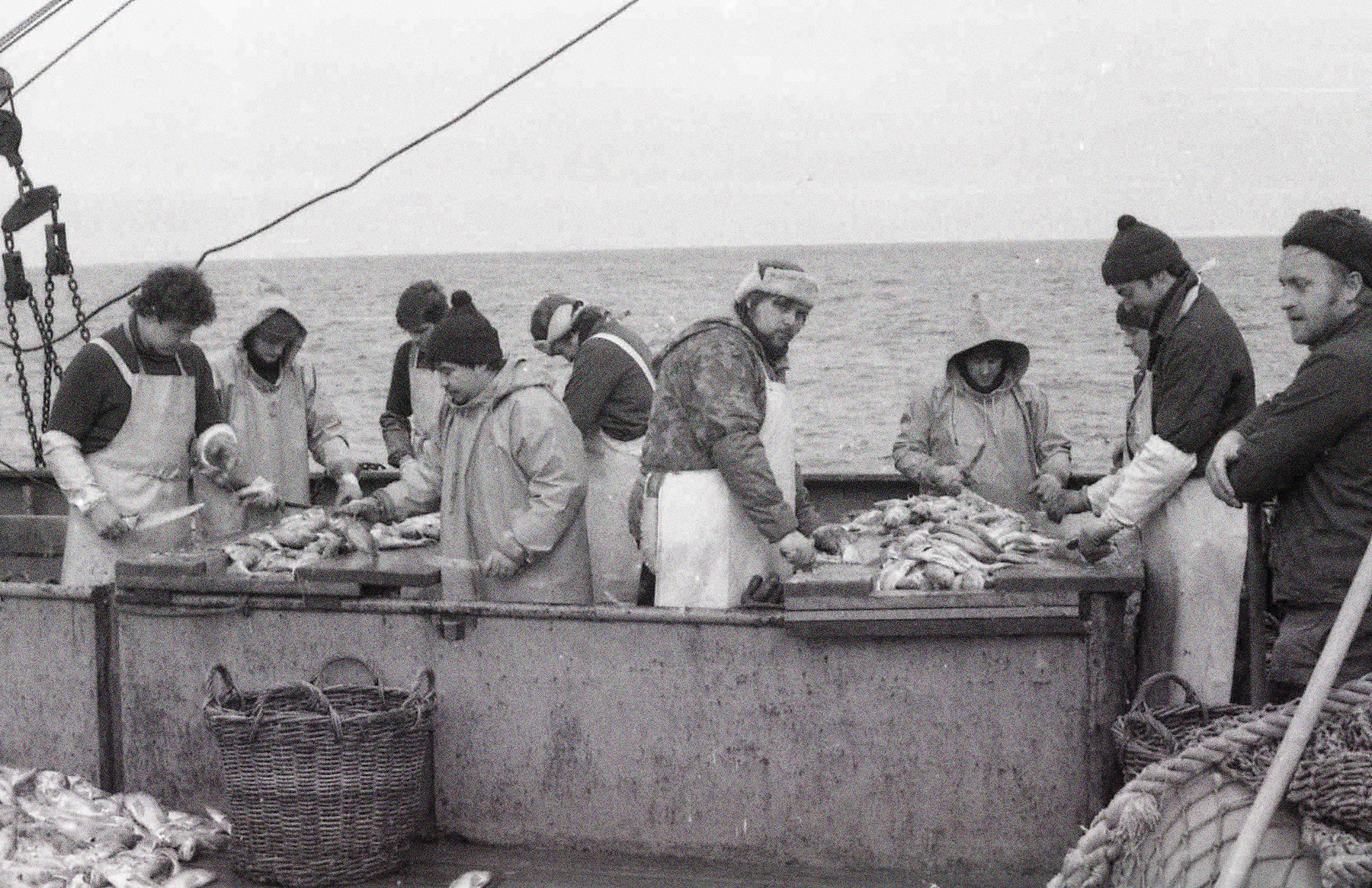 Fischer nehmen an Deck Fische aus. Im Hintergrund ist das Meer.